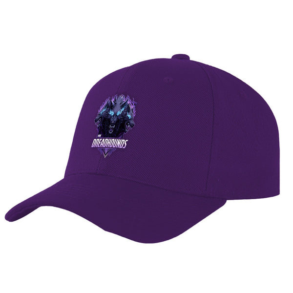 Custom VVHL Purple S9-Dreadhounds 3D Puff Embroidery Flat Embroidery Baseball Cap | BuyFootballJersey